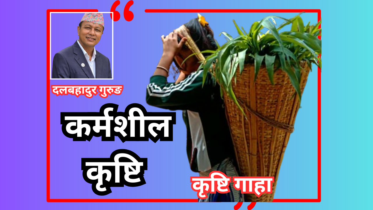 कर्मशील कृष्टि